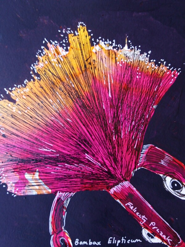Series of paintings based on the shaving brush plant Bombax Elipticum